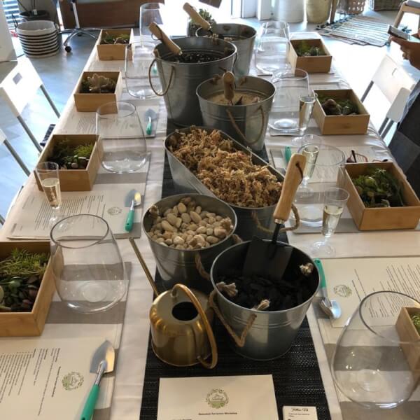 Photo from a Joy Succulents workshop