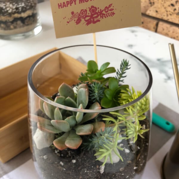 Photo from a Joy Succulents workshop