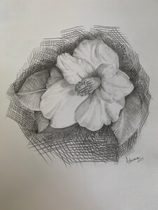 Drawing class by Kaleidoscope Art Room