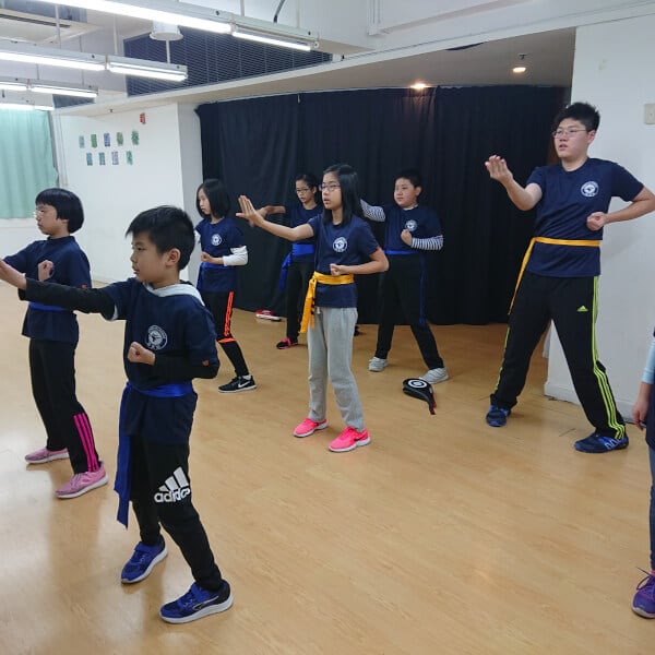 Photo from a Kung Fu Force PTY LTD workshop
