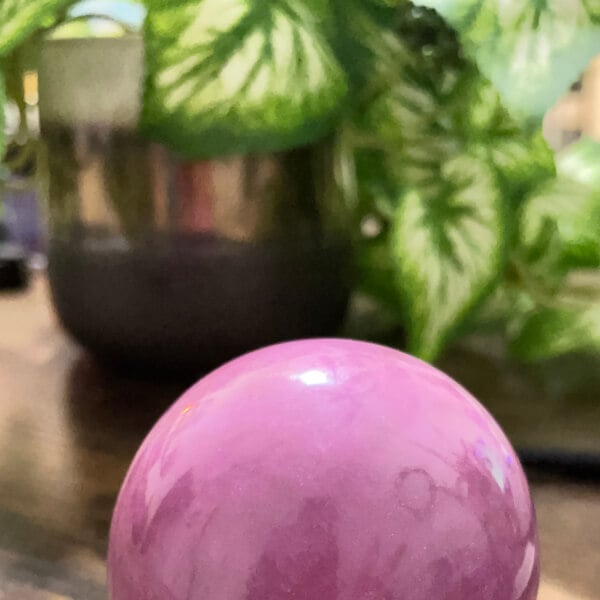 Photo from a Kylie Makes workshop