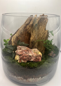 Terrarium class by Life in a Jar
