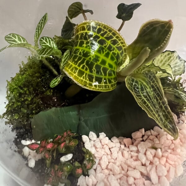 Photo from a Life in a Jar workshop