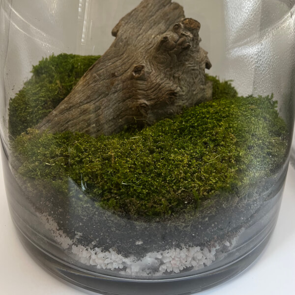 Photo from a Life in a Jar workshop