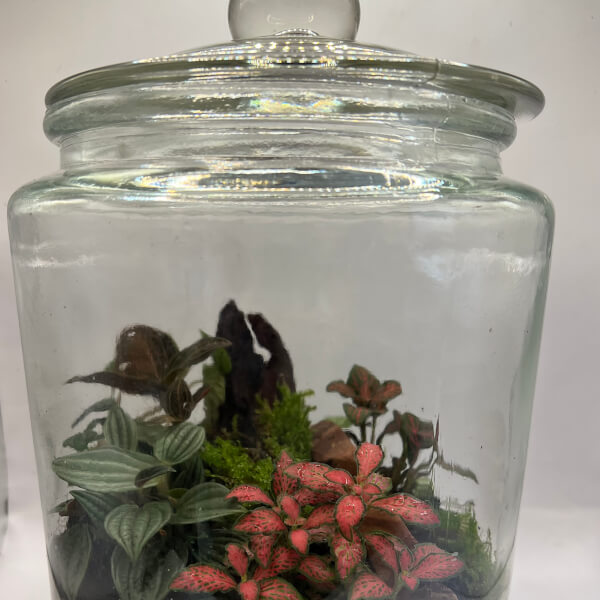 Photo from a Life in a Jar workshop