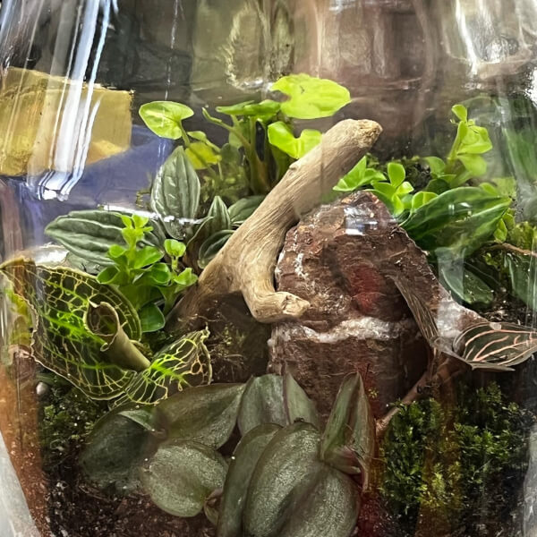 Photo from a Life in a Jar workshop