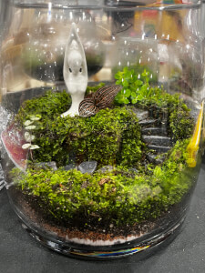 Terrarium course
