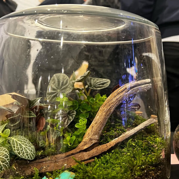 Photo from a Life in a Jar workshop