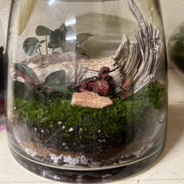 Photo from a Life in a Jar workshop