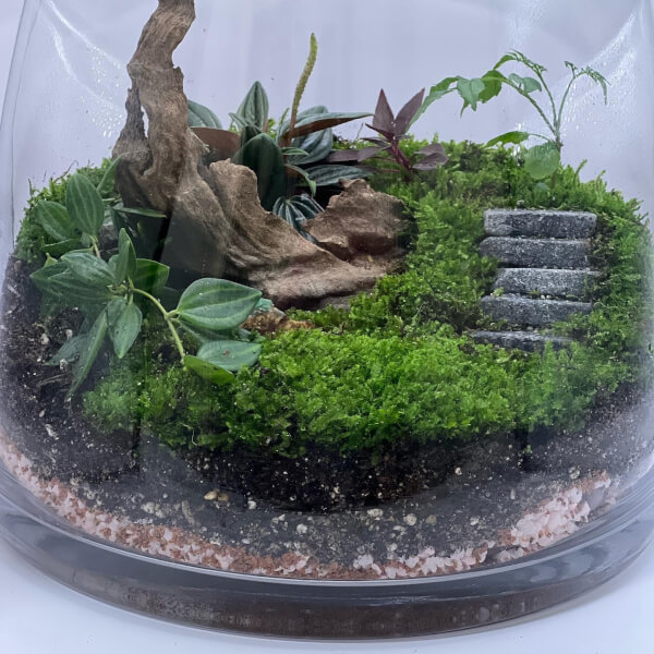 Photo from a Life in a Jar workshop