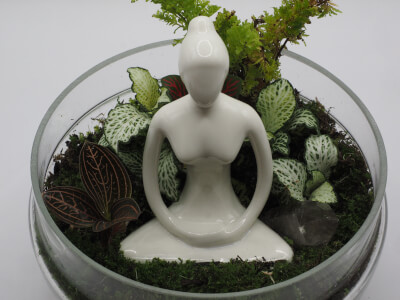 Terrarium class by Life in a Jar