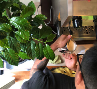 Coffee class by LINDA COFFEE CONNECTION