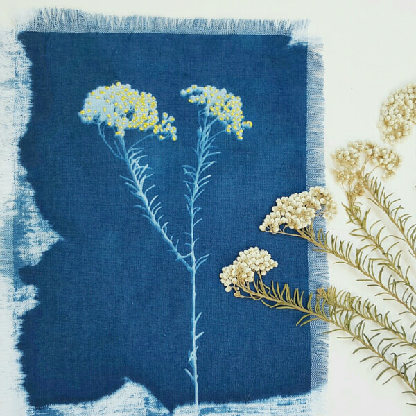 Photo from a Lisa Shepherd workshop