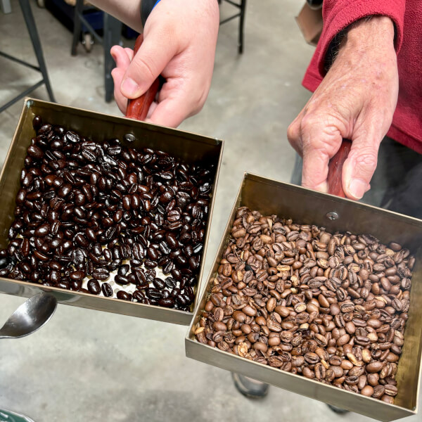 Coffee experience