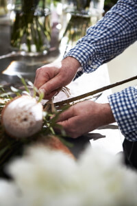 Gardening class by Merchant & Green