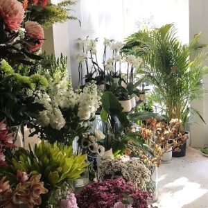 Gardening class by Merchant & Green