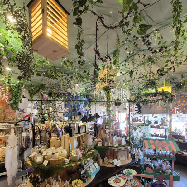Terrarium workshops