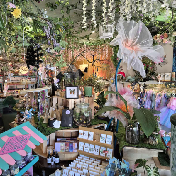 Terrarium experience