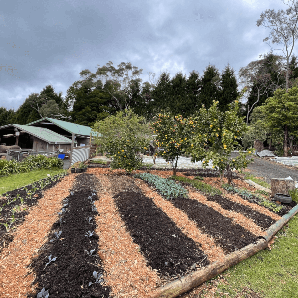 Gardening workshops, Hazelbrook