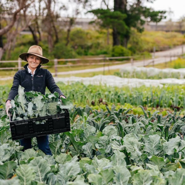 Gardening classes, Hazelbrook