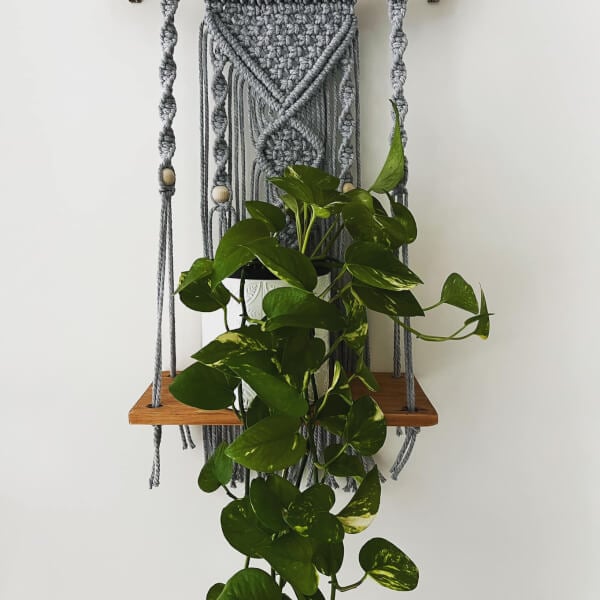 Photo from a Natural knotworks workshop