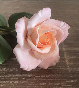 Pottery class by Olga Kovaleva