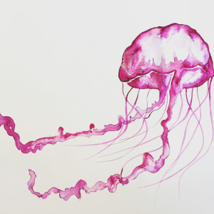 Water Colour Jellyfish -Adult