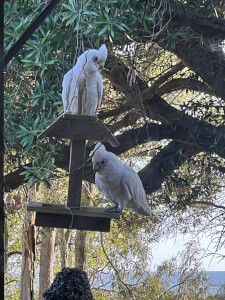 Pottery class by Peppa Potts Creates