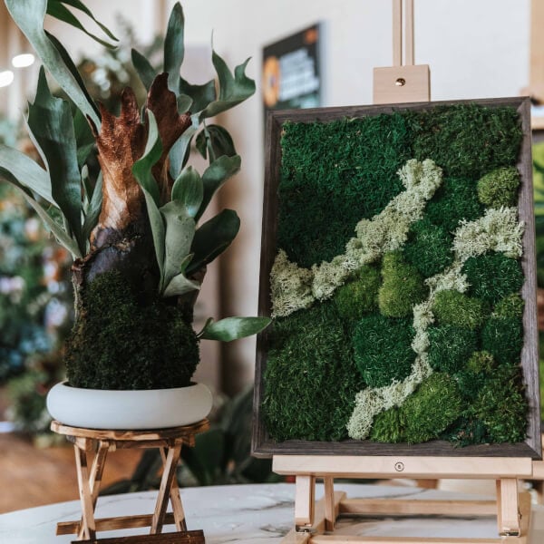 Photo from a Plant Collector Melbourne workshop