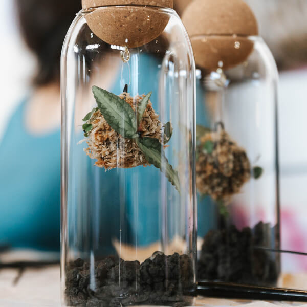 Photo from a Plant Collector Melbourne workshop