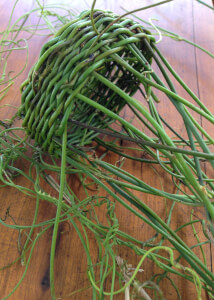 Textiles class by Rene Bahloo