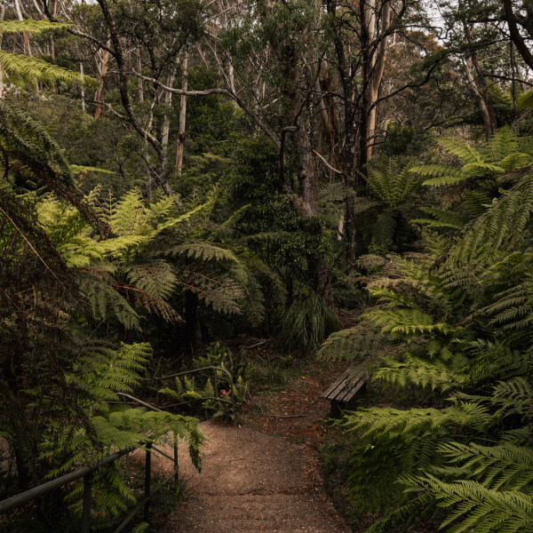 Photography classes, Glenmore Park