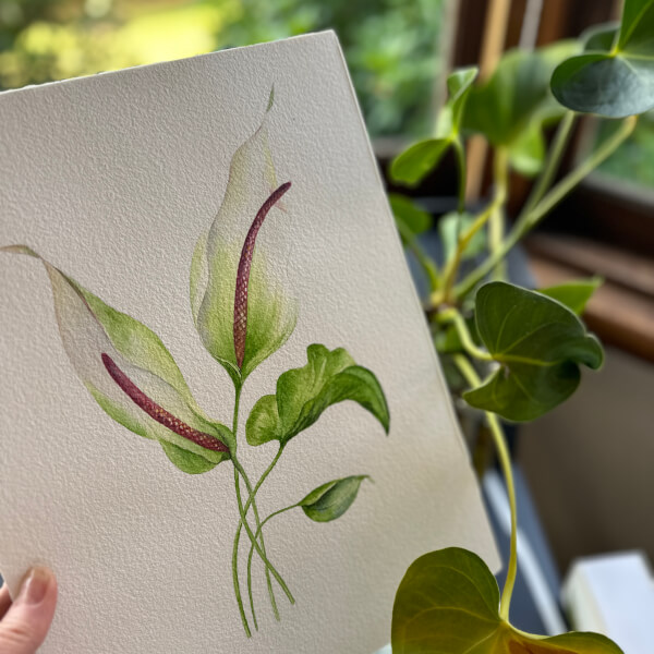 Painting experience