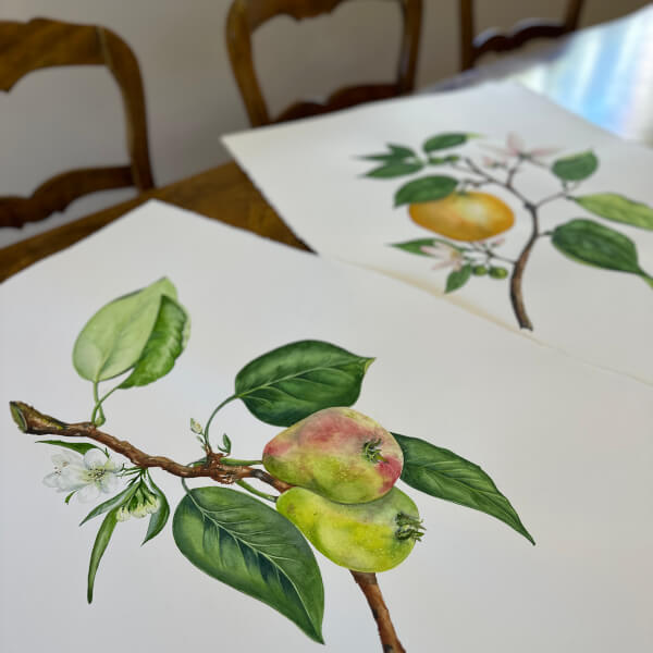 Painting workshops, Malvern