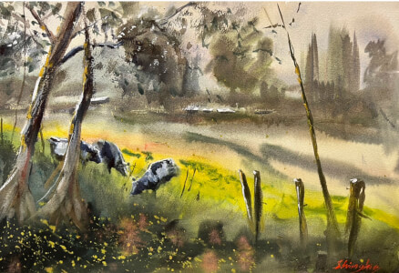 Painting experience