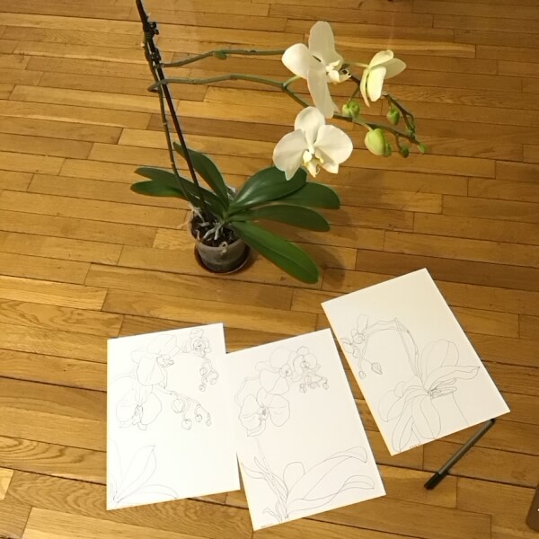 Photo from a Sorour Fattahi workshop