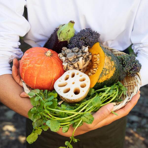 Cooking workshops, St Ives
