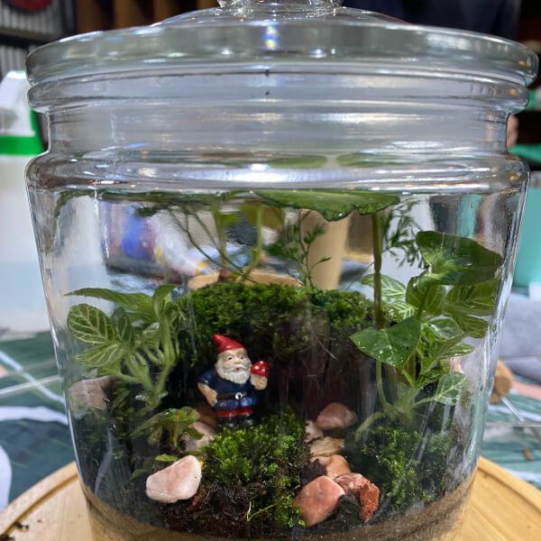 Photo from a Tanyas Terrariums workshop
