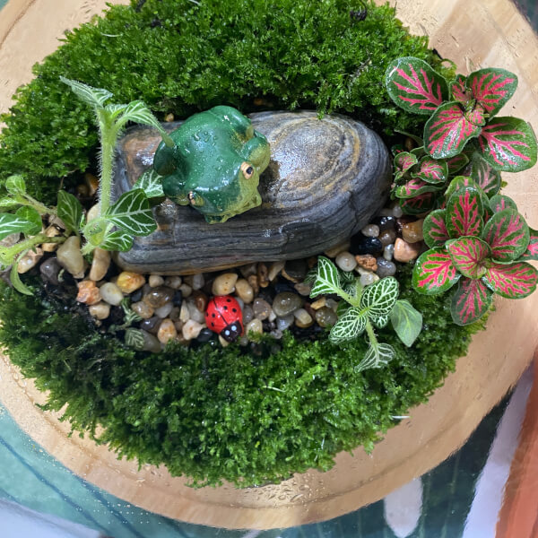 Photo from a Tanyas Terrariums workshop