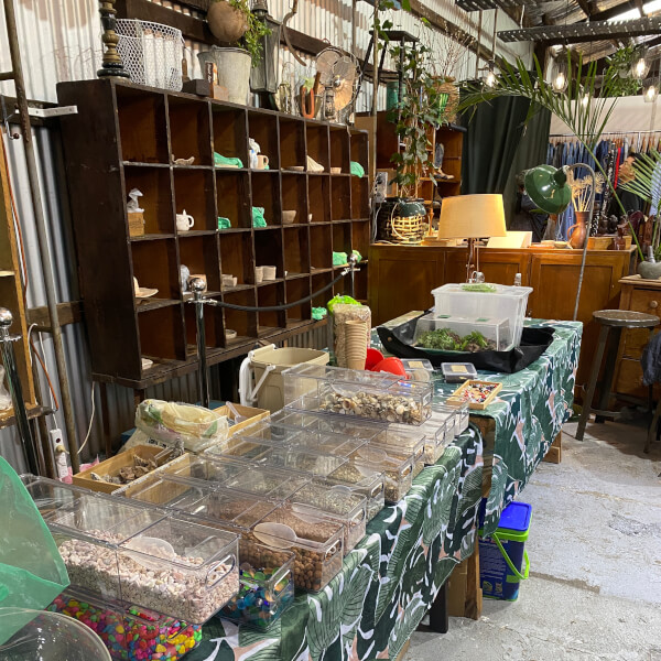 Photo from a Tanyas Terrariums workshop