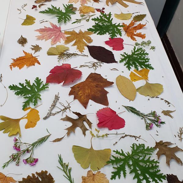Photo from a Tatiana’s Fashion Studio workshop