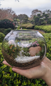 Terrarium workshops