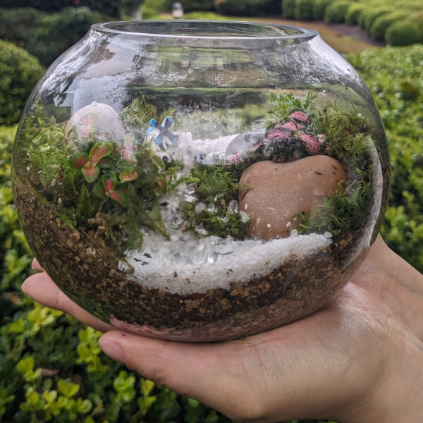Terrarium workshops