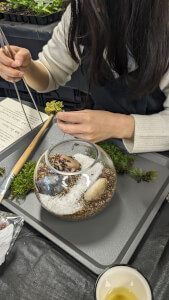 Terrarium class by Terra-Ya | Artisan Japanese Terrariums & Workshops