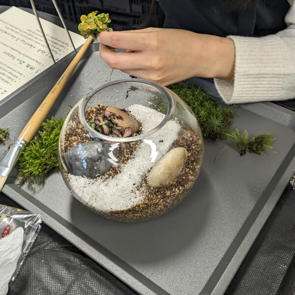 Terrarium class by Terra-Ya | Artisan Japanese Terrariums & Workshops