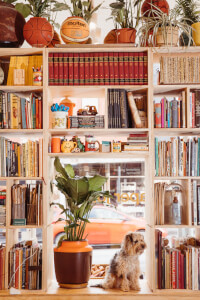 Paper Craft and Ink workshops