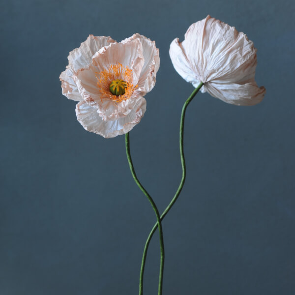 Photo from a The Paper Primrose workshop