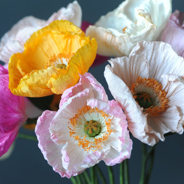 Photo from a The Paper Primrose workshop