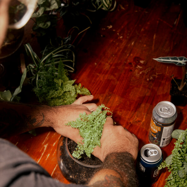 Terrarium workshops, Brunswick