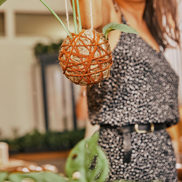 Terrarium course